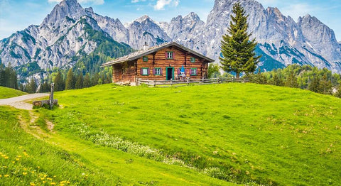 Traditionelle Almhütte auf einer grünen Bergwiese in den bayerischen Alpen mit beeindruckender Berglandschaft im Hintergrund